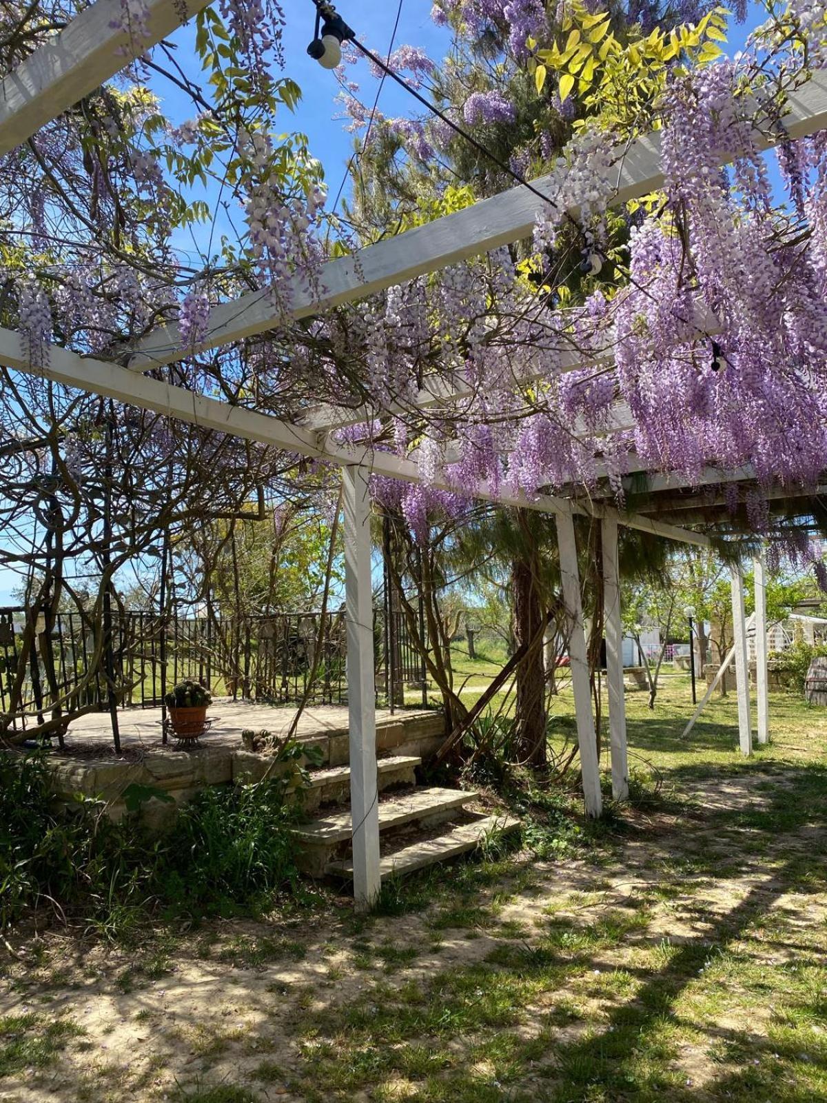 Agriturismo Tenuta La Monaca Aradeo Kültér fotó