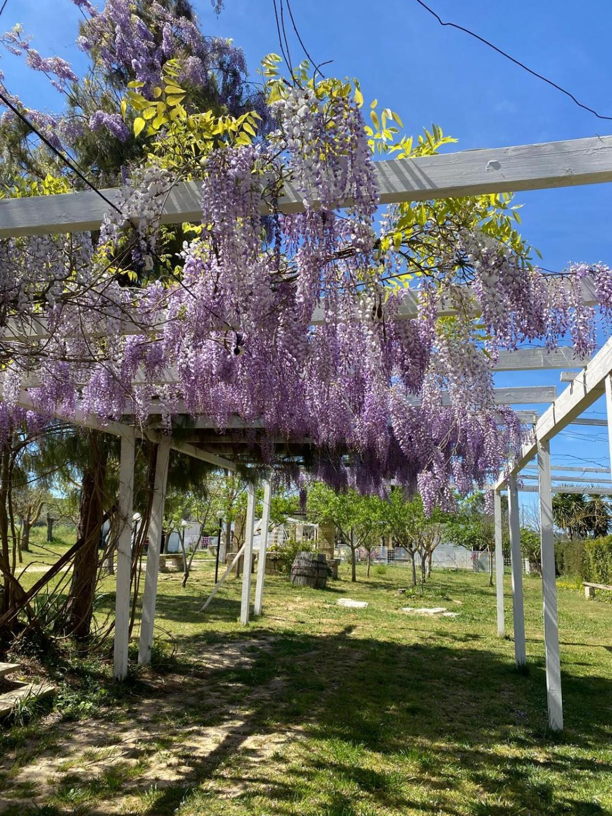Agriturismo Tenuta La Monaca Aradeo Kültér fotó
